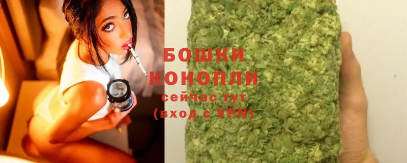 Канабис White Widow  Шахты 